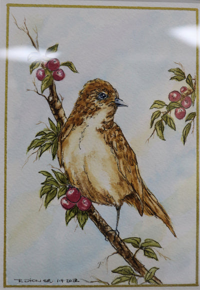 Bird Drug Dealing berries- Watercolor Painting Signed by Artist