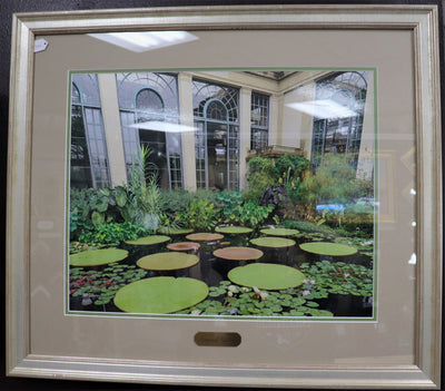 Pond in a Home- Longwood Gardens Photo