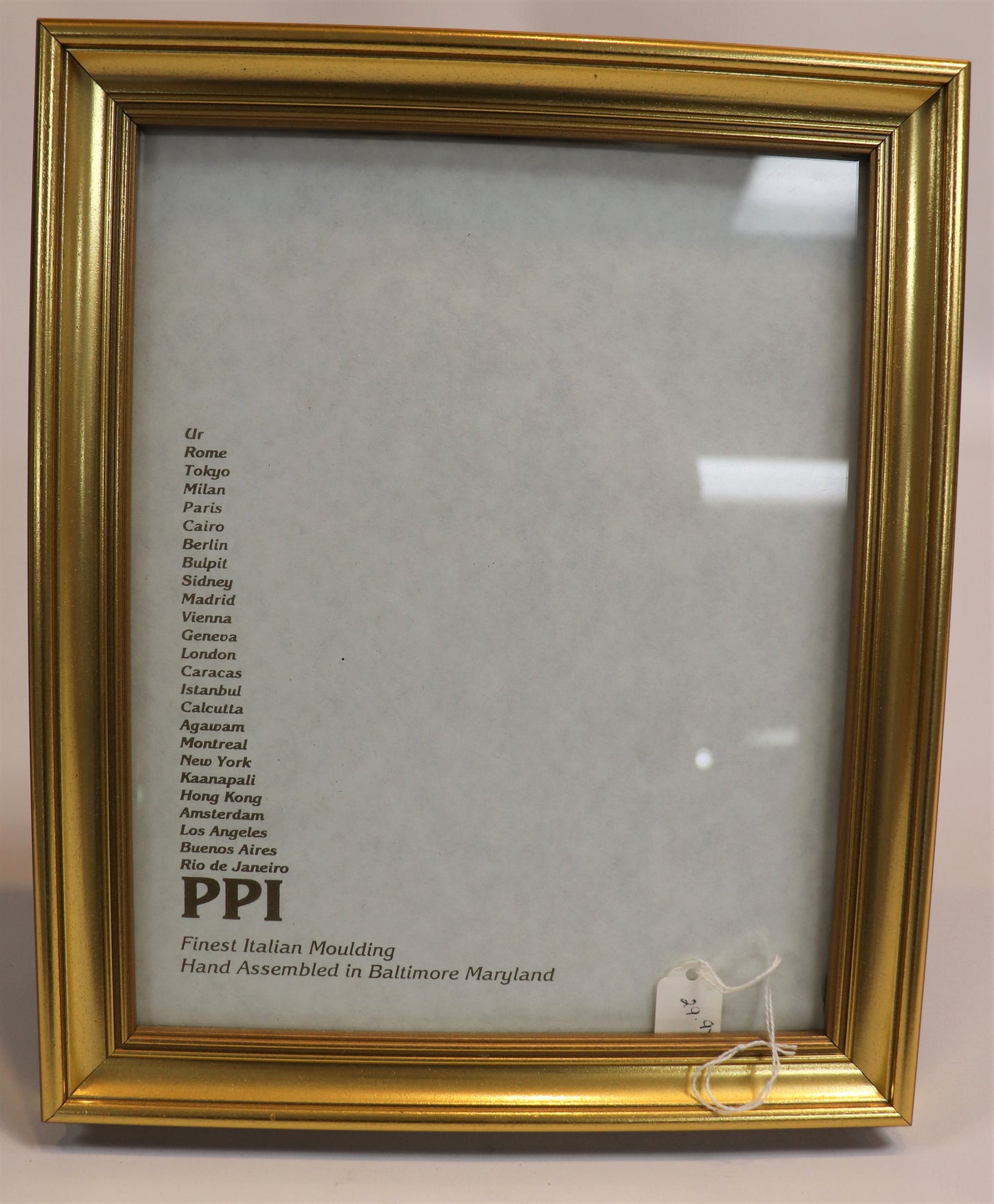 8" x 10" Gold Photo frame- PPI