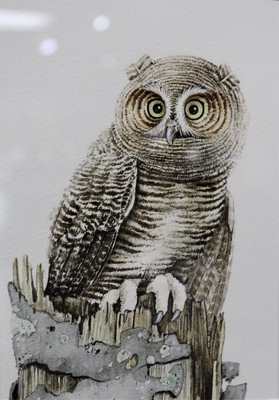 Who Owl- Giclee Watercolor Print