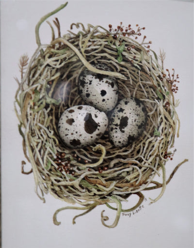 Eggs in Nest - Print