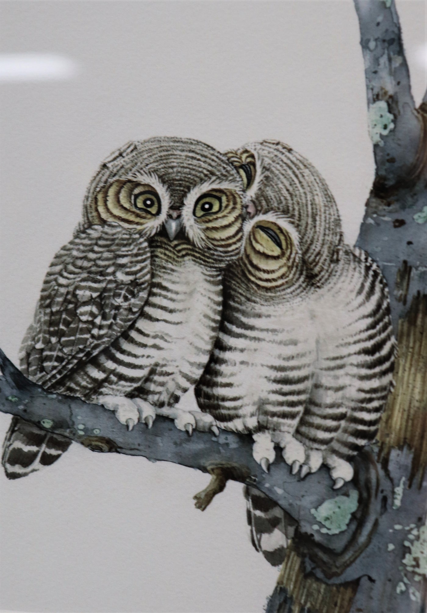 Cuddling Owls- Giclee Watercolor Painting